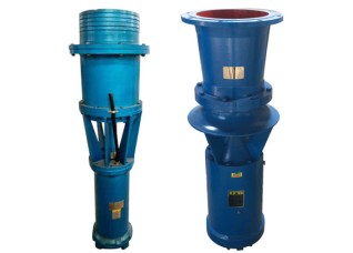 Submersible Axial/Mixed Flow Pump