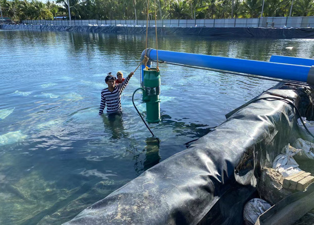 QSP fountain pumps perform well in Ho Chi Minh Vietnam